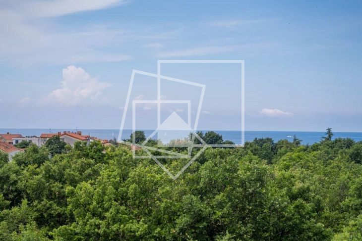 Luxury house, Sale, Poreč, Poreč