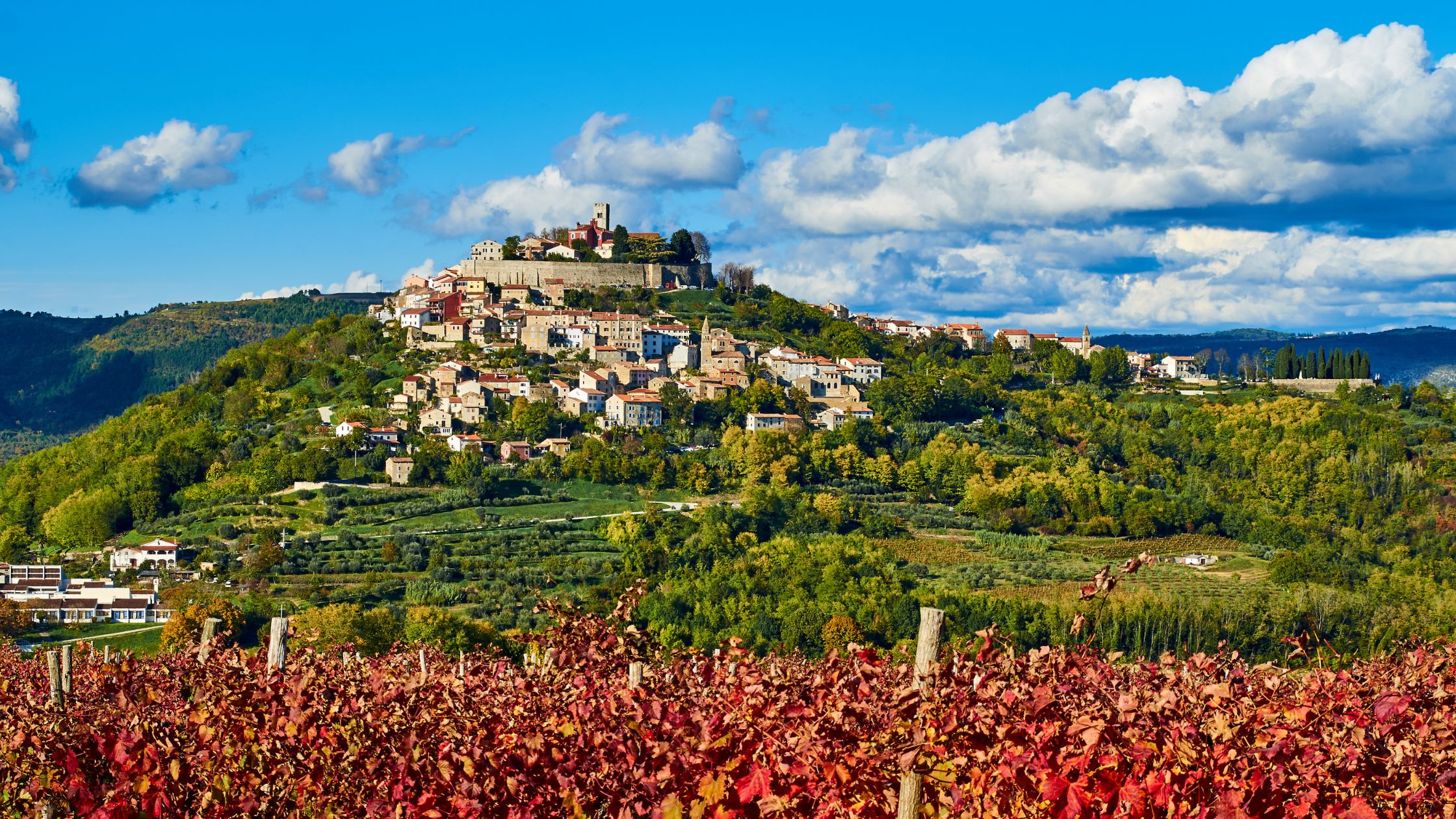 Motovun